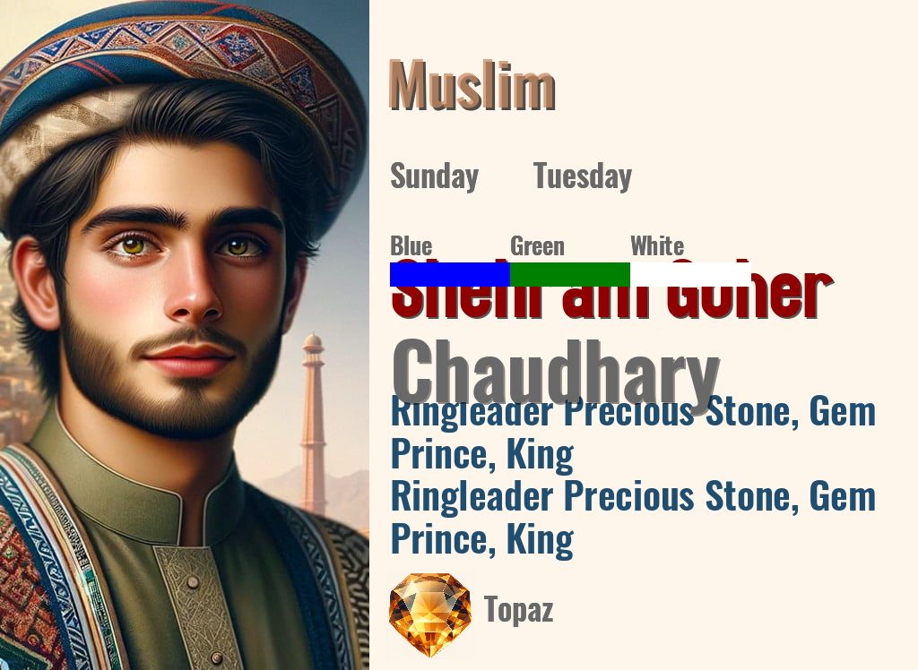 Shehram Goher Chaudhary