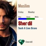 Sherdil