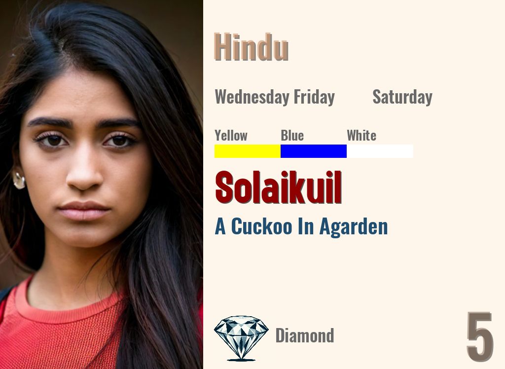 Solaikuil
