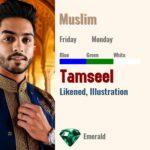 Tamseel