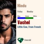 Vachel