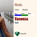 Vaneeza