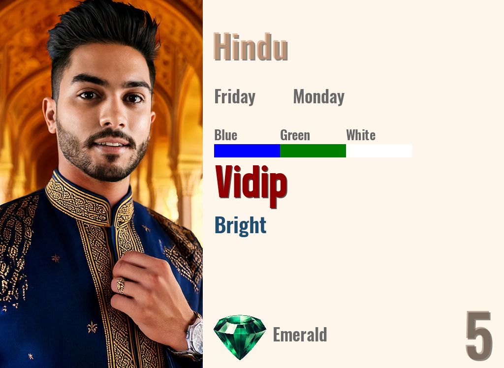 Vidip