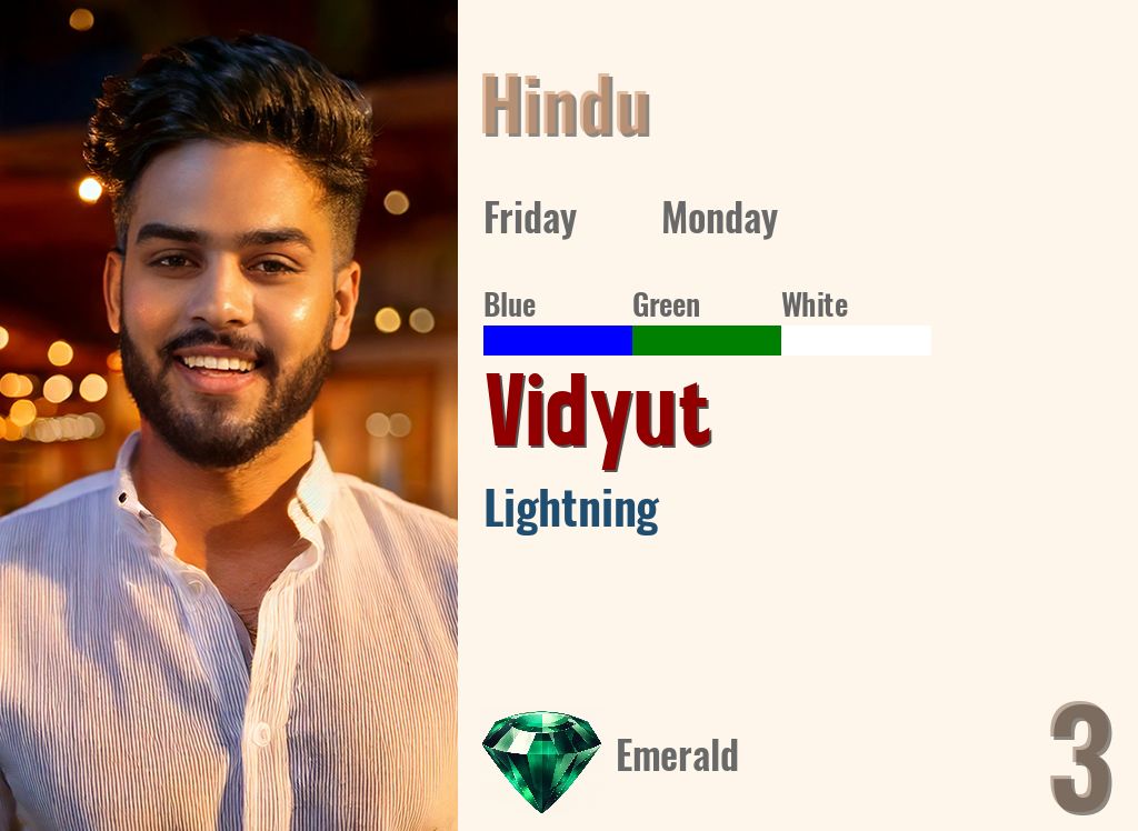 Vidyut