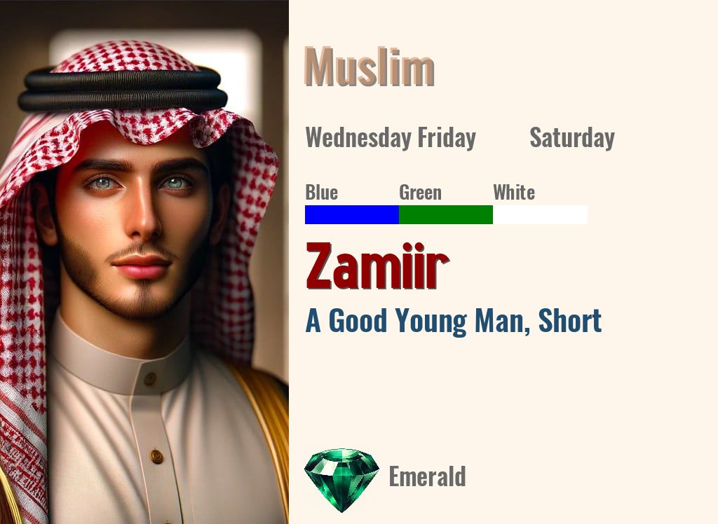 Zamiir