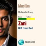 Zani