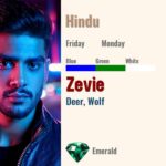 Zevie