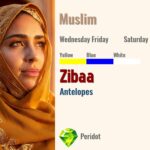 Zibaa