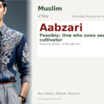 Aabzari Name Meaning and Details