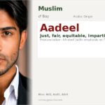 Aadeel Name Meaning and Details