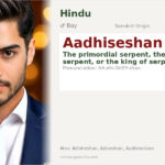 Aadhiseshan Name Meaning and Details