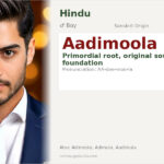 Aadimoola Name Meaning and Details