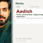 Aadish Name Meaning and Details