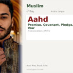 Aahd Name Meaning and Details