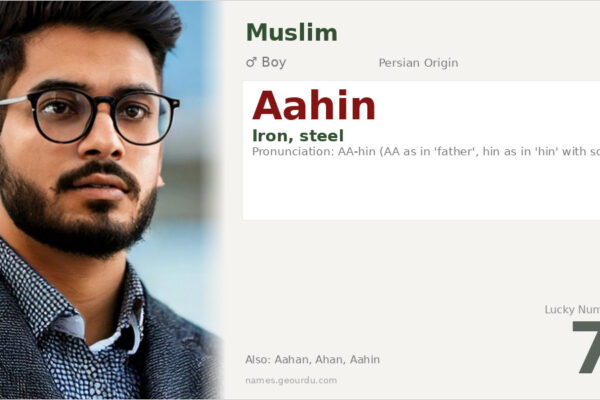 Aahin Name Meaning — Persian Origin, Boy Name & Details (2025)