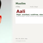 Aali Name Meaning and Details