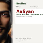 Aaliyan Name Meaning and Details