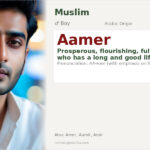Aamer Name Meaning and Details