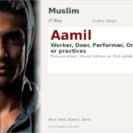 Aamil Name Meaning and Details