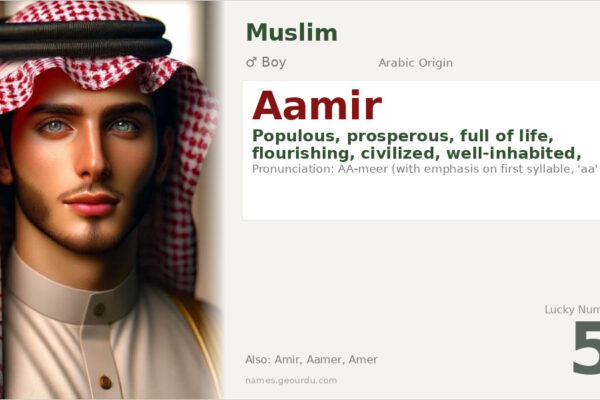 Aamir Name Meaning — Arabic Origin, Boy Name & Details (2025)