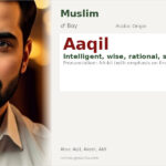Aaqil Name Meaning and Details