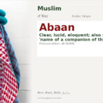 Abaan Name Meaning and Details