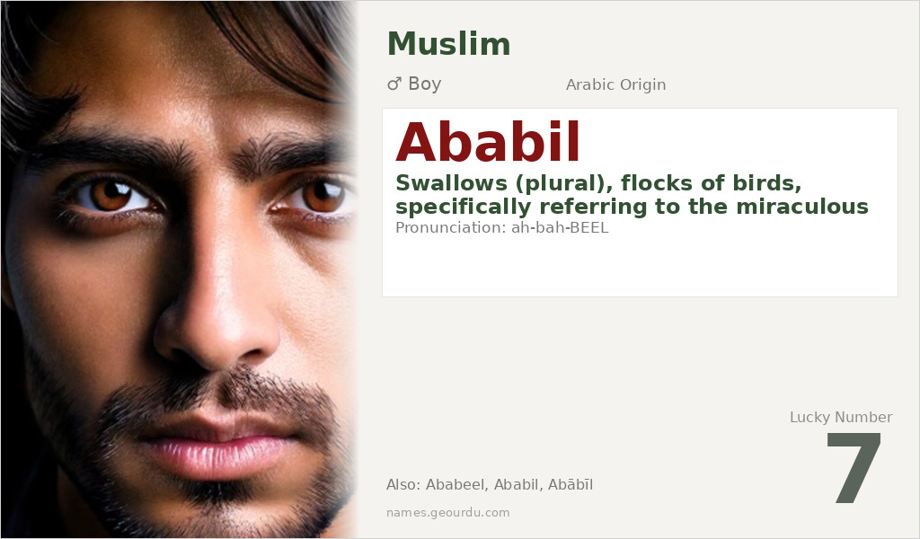 Ababil Name Meaning and Details