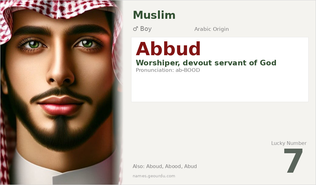 Abbud Name Meaning and Details
