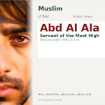 Abd Al Ala Name Meaning and Details