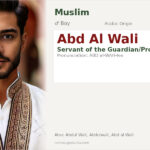 Abd Al Wali Name Meaning and Details