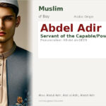 Abdel Adir Name Meaning and Details