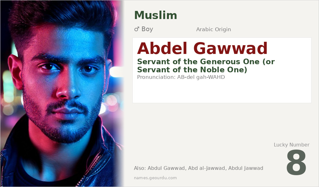 Abdel Gawwad Name Meaning and Details
