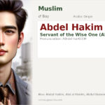 Abdel Hakim Name Meaning and Details