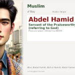 Abdel Hamid Name Meaning and Details