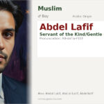 Abdel Lafif Name Meaning and Details