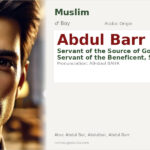 Abdul Barr Name Meaning and Details