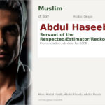 Abdul Haseeb Name Meaning and Details