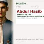 Abdul Hasib Name Meaning and Details
