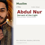 Abdul Nur Name Meaning and Details