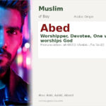 Abed Name Meaning and Details