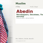 Abedin Name Meaning and Details