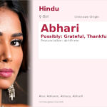 Abhari Name Meaning and Details
