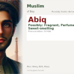 Abiq Name Meaning and Details