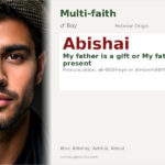 Abishai Name Meaning and Details