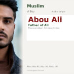 Abou Ali Name Meaning and Details