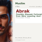 Abrak Name Meaning and Details