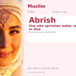 Abrish Name Meaning and Details