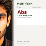 Abs Name Meaning and Details