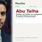 Abu Talha Name Meaning and Details