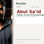 Abul Sa'id Name Meaning and Details